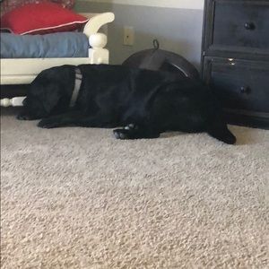 Meet your Posher, Heather